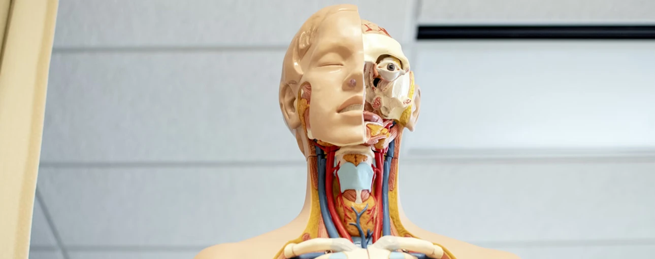 casedt1 / Medical HS