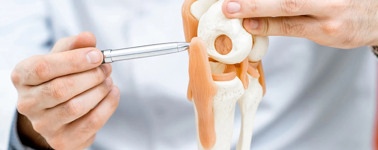 casedt3 / Medical HS